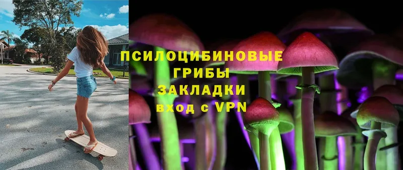 Псилоцибиновые грибы MAGIC MUSHROOMS  Шелехов 